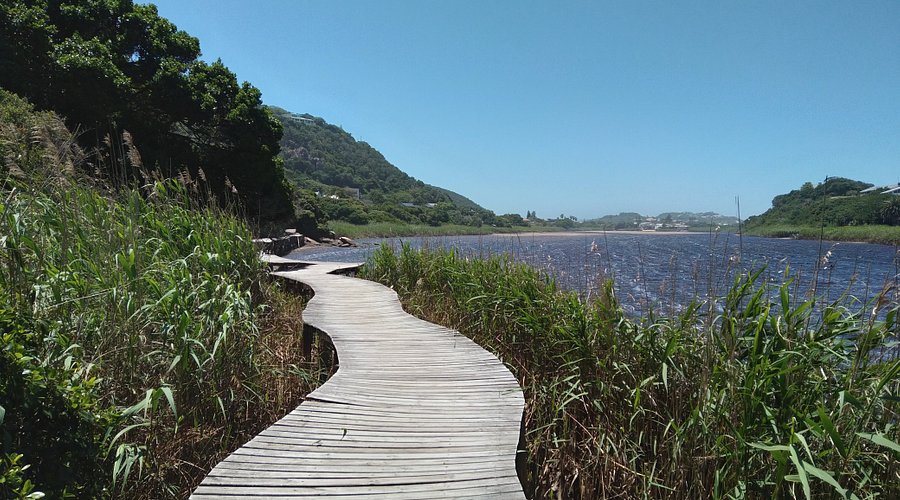 Walkway along lagoon Wilderness